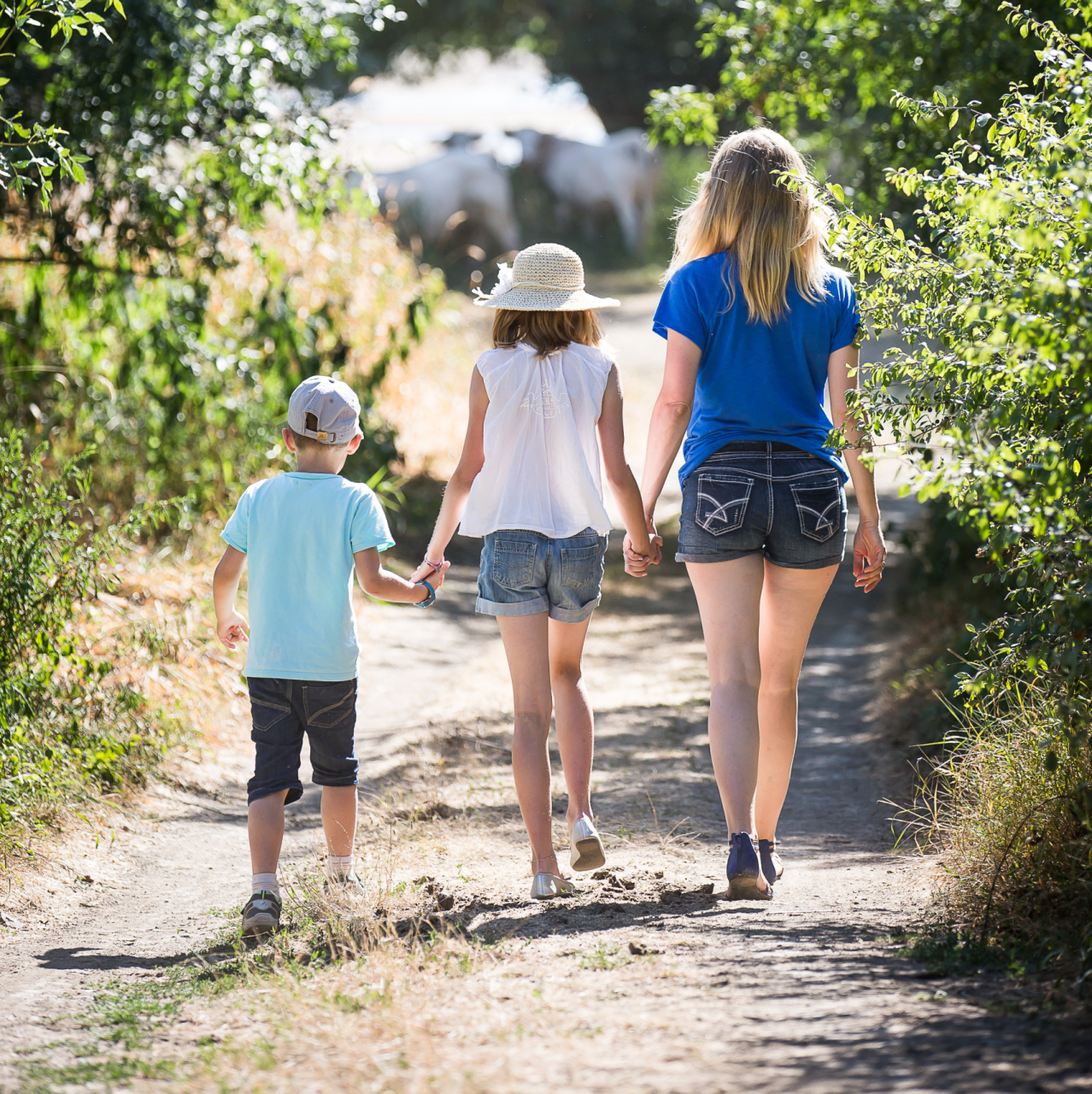 Randonnée avec les enfants en Pays d'Ancenis