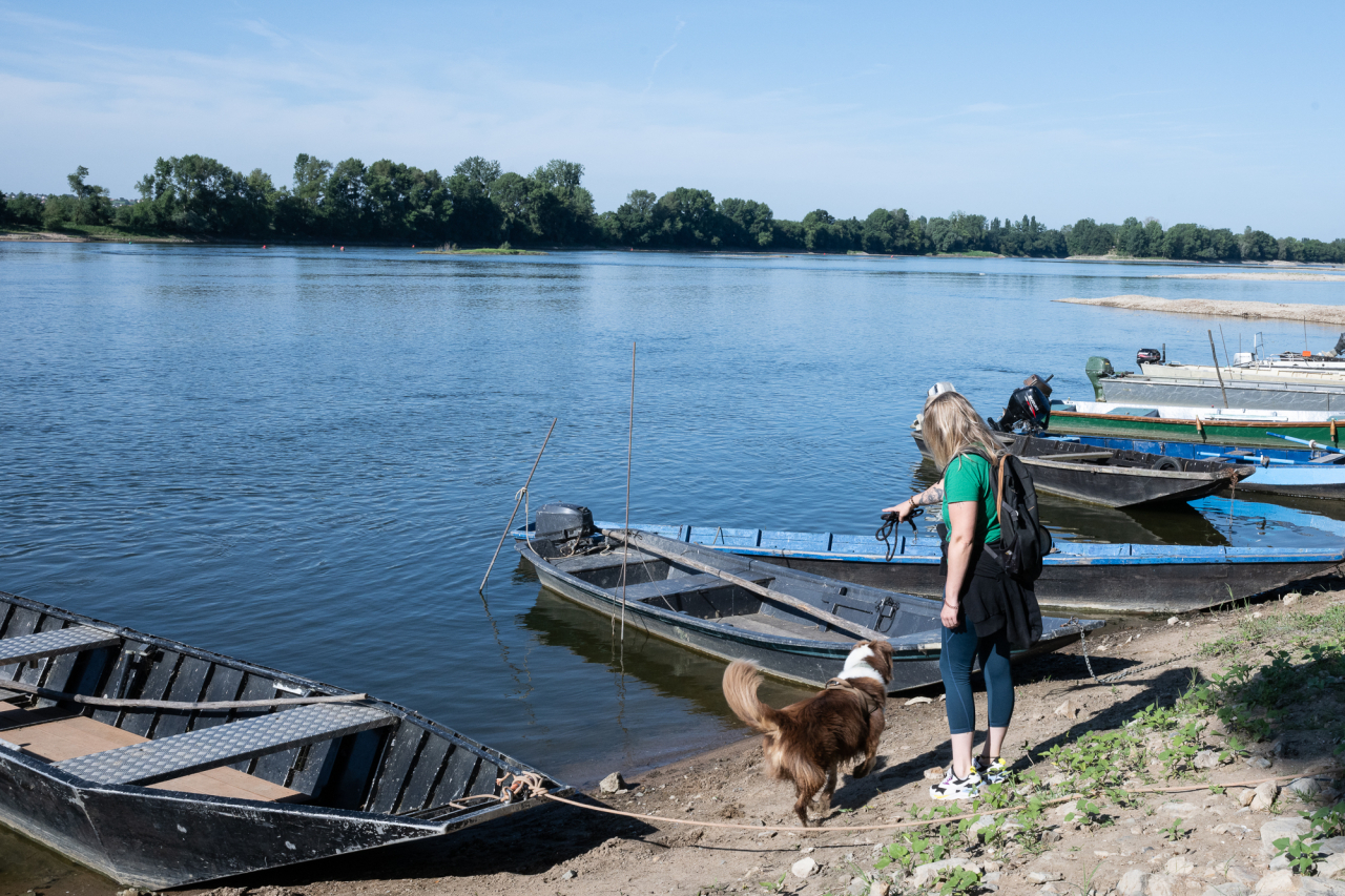 Vair-sur-Loire-Pays d'Ancenis
