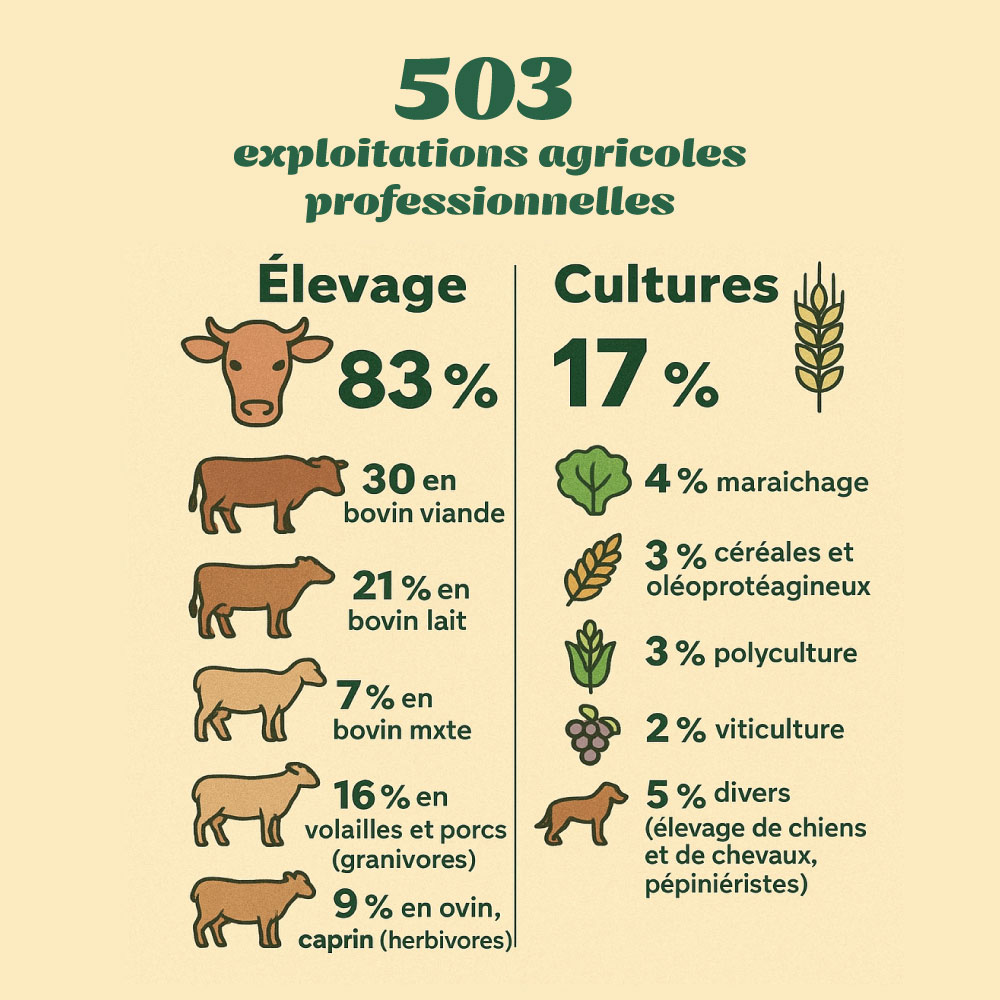 Les exploitations agricoles professionnelles