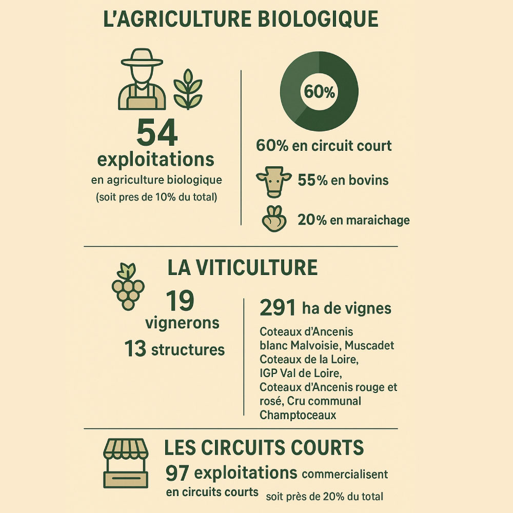 L'agriculture Biologique en Pays d'Ancenis