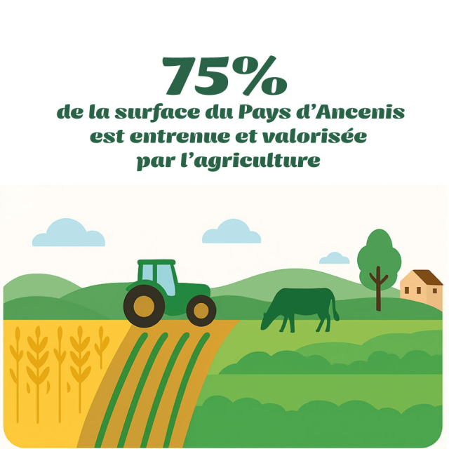 75% de la surface totale du Pays d’Ancenis est entretenue et valorisée par l'agriculture